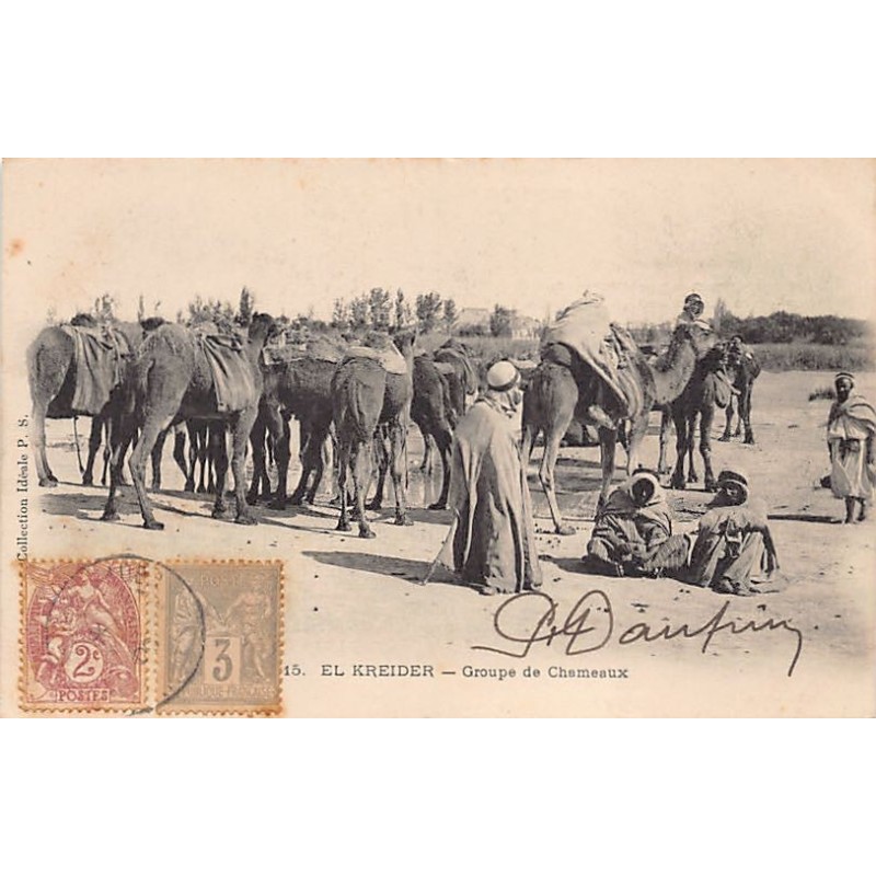 Rare collectable postcards of ALGERIA Algérie Belgique België. Vintage Postcards of ALGERIA Algérie Belgique België