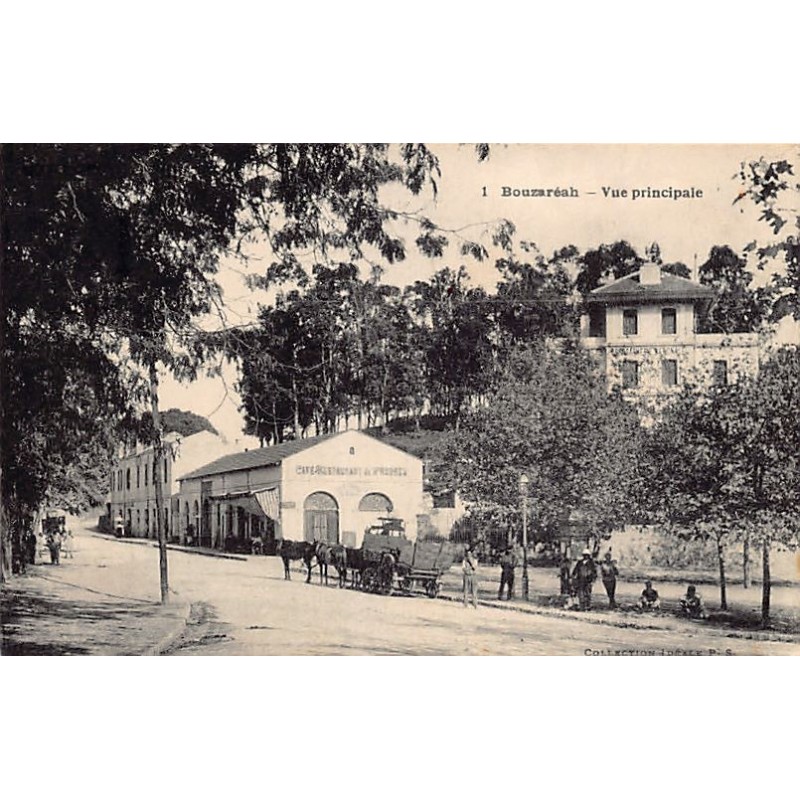 Rare collectable postcards of ALGERIA Algérie Belgique België. Vintage Postcards of ALGERIA Algérie Belgique België