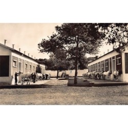 Rare collectable postcards of ALGERIA Algérie Belgique België. Vintage Postcards of ALGERIA Algérie Belgique België