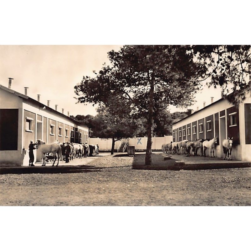 Rare collectable postcards of ALGERIA Algérie Belgique België. Vintage Postcards of ALGERIA Algérie Belgique België