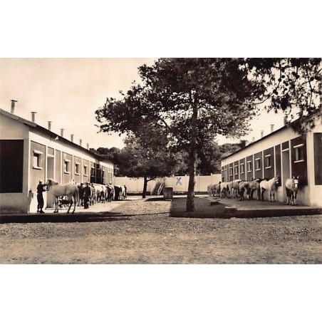 Rare collectable postcards of ALGERIA Algérie Belgique België. Vintage Postcards of ALGERIA Algérie Belgique België