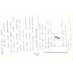 Rare collectable postcards of ALGERIA Algérie Belgique België. Vintage Postcards of ALGERIA Algérie Belgique België