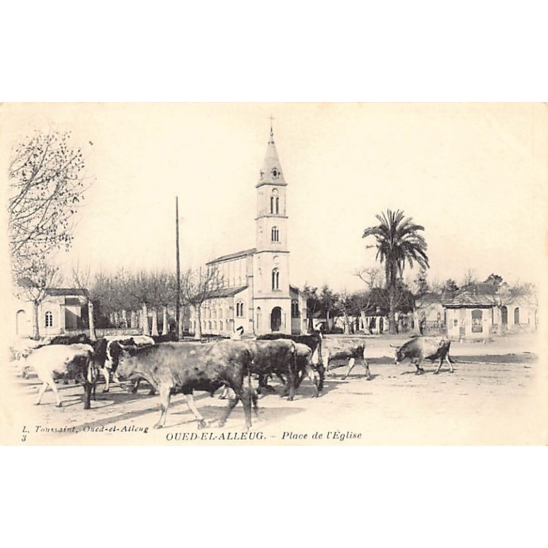 Rare collectable postcards of ALGERIA Algérie Belgique België. Vintage Postcards of ALGERIA Algérie Belgique België
