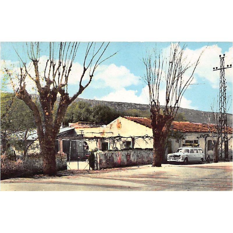 Rare collectable postcards of ALGERIA Algérie Belgique België. Vintage Postcards of ALGERIA Algérie Belgique België