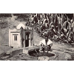 Rare collectable postcards of ALGERIA Algérie Belgique België. Vintage Postcards of ALGERIA Algérie Belgique België