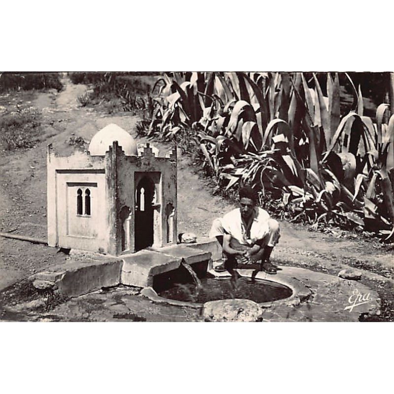 Rare collectable postcards of ALGERIA Algérie Belgique België. Vintage Postcards of ALGERIA Algérie Belgique België