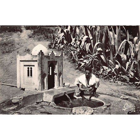 Rare collectable postcards of ALGERIA Algérie Belgique België. Vintage Postcards of ALGERIA Algérie Belgique België