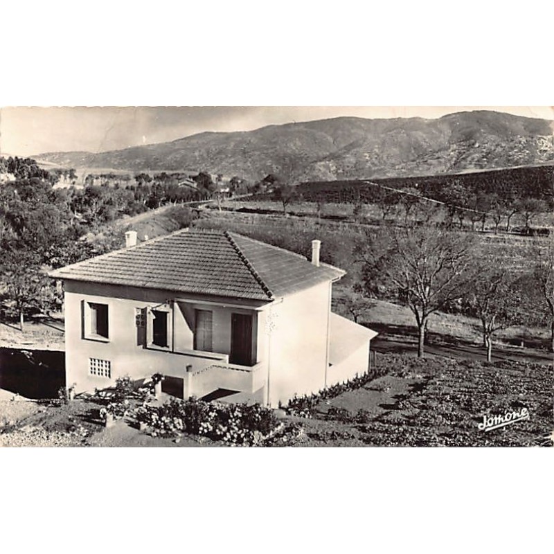 Rare collectable postcards of ALGERIA Algérie Belgique België. Vintage Postcards of ALGERIA Algérie Belgique België