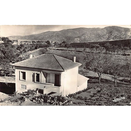 Rare collectable postcards of ALGERIA Algérie Belgique België. Vintage Postcards of ALGERIA Algérie Belgique België