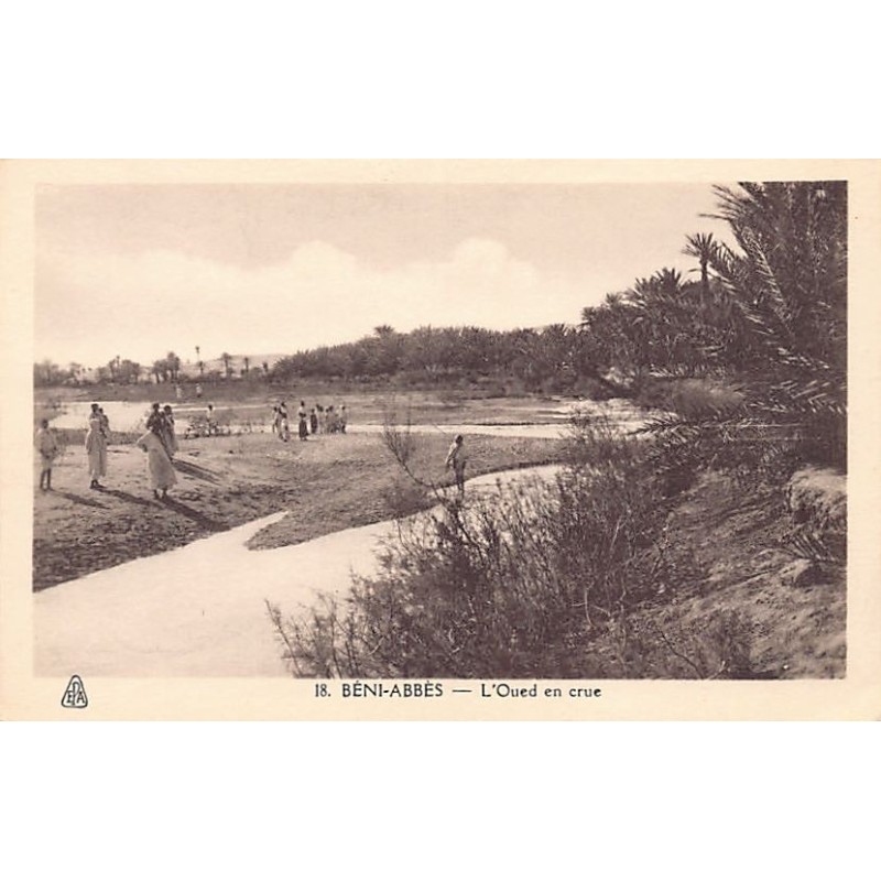 Rare collectable postcards of ALGERIA Algérie Belgique België. Vintage Postcards of ALGERIA Algérie Belgique België