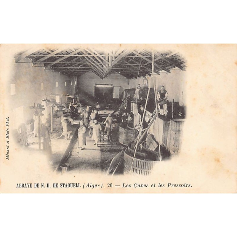 Rare collectable postcards of ALGERIA Algérie Belgique België. Vintage Postcards of ALGERIA Algérie Belgique België