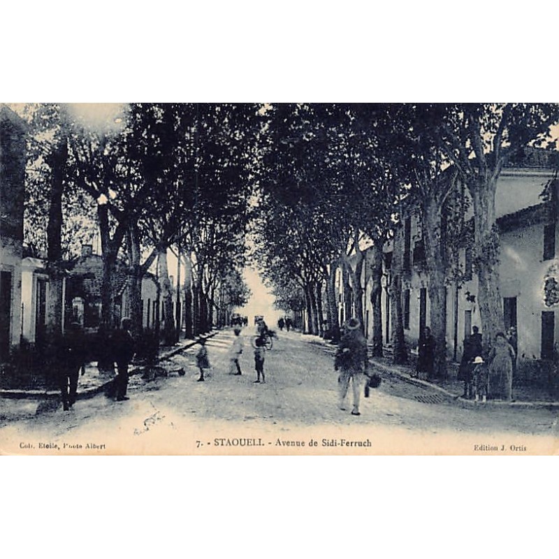 Rare collectable postcards of ALGERIA Algérie Belgique België. Vintage Postcards of ALGERIA Algérie Belgique België