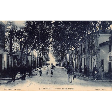 Rare collectable postcards of ALGERIA Algérie Belgique België. Vintage Postcards of ALGERIA Algérie Belgique België