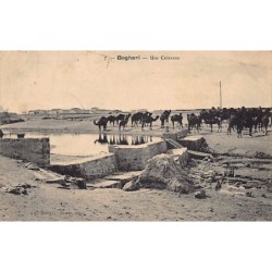 Rare collectable postcards of ALGERIA Algérie Belgique België. Vintage Postcards of ALGERIA Algérie Belgique België