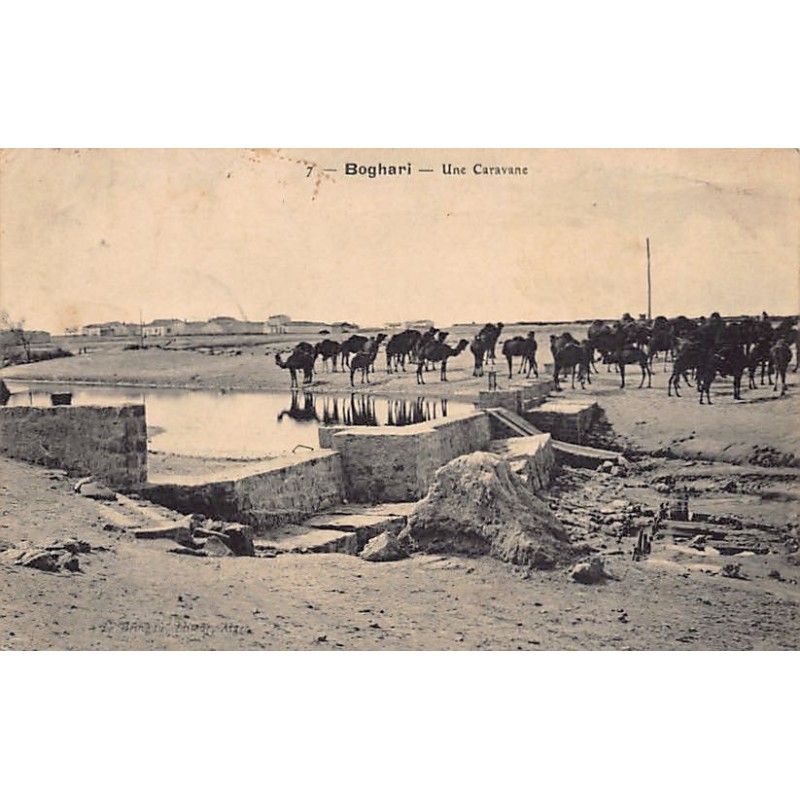 Rare collectable postcards of ALGERIA Algérie Belgique België. Vintage Postcards of ALGERIA Algérie Belgique België