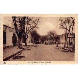 Rare collectable postcards of ALGERIA Algérie Belgique België. Vintage Postcards of ALGERIA Algérie Belgique België