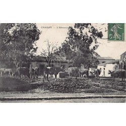 Rare collectable postcards of ALGERIA Algérie Belgique België. Vintage Postcards of ALGERIA Algérie Belgique België