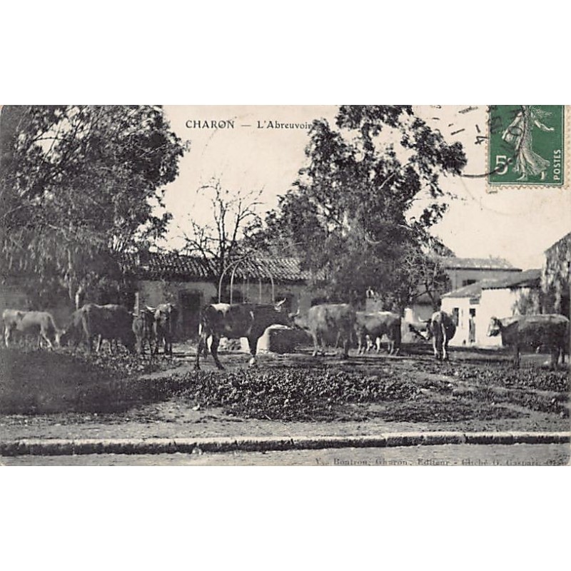 Rare collectable postcards of ALGERIA Algérie Belgique België. Vintage Postcards of ALGERIA Algérie Belgique België