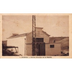 Rare collectable postcards of ALGERIA Algérie Belgique België. Vintage Postcards of ALGERIA Algérie Belgique België