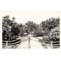 Rare collectable postcards of ALGERIA Algérie Belgique België. Vintage Postcards of ALGERIA Algérie Belgique België