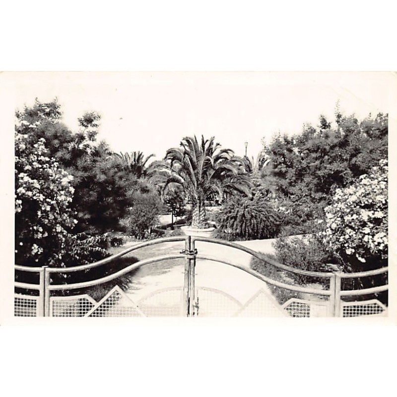 Rare collectable postcards of ALGERIA Algérie Belgique België. Vintage Postcards of ALGERIA Algérie Belgique België