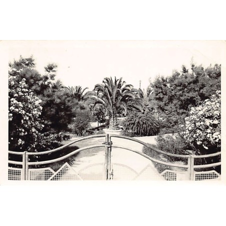 Rare collectable postcards of ALGERIA Algérie Belgique België. Vintage Postcards of ALGERIA Algérie Belgique België