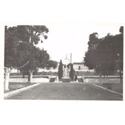 Rare collectable postcards of ALGERIA Algérie Belgique België. Vintage Postcards of ALGERIA Algérie Belgique België