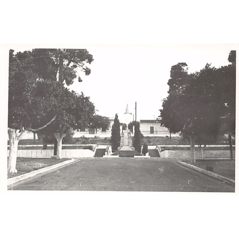 Rare collectable postcards of ALGERIA Algérie Belgique België. Vintage Postcards of ALGERIA Algérie Belgique België