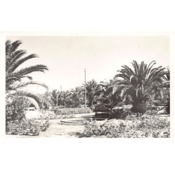 Rare collectable postcards of ALGERIA Algérie Belgique België. Vintage Postcards of ALGERIA Algérie Belgique België