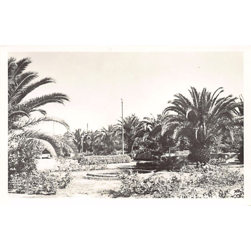 Rare collectable postcards of ALGERIA Algérie Belgique België. Vintage Postcards of ALGERIA Algérie Belgique België