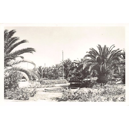 Rare collectable postcards of ALGERIA Algérie Belgique België. Vintage Postcards of ALGERIA Algérie Belgique België