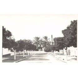 Rare collectable postcards of ALGERIA Algérie Belgique België. Vintage Postcards of ALGERIA Algérie Belgique België