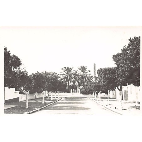 Rare collectable postcards of ALGERIA Algérie Belgique België. Vintage Postcards of ALGERIA Algérie Belgique België