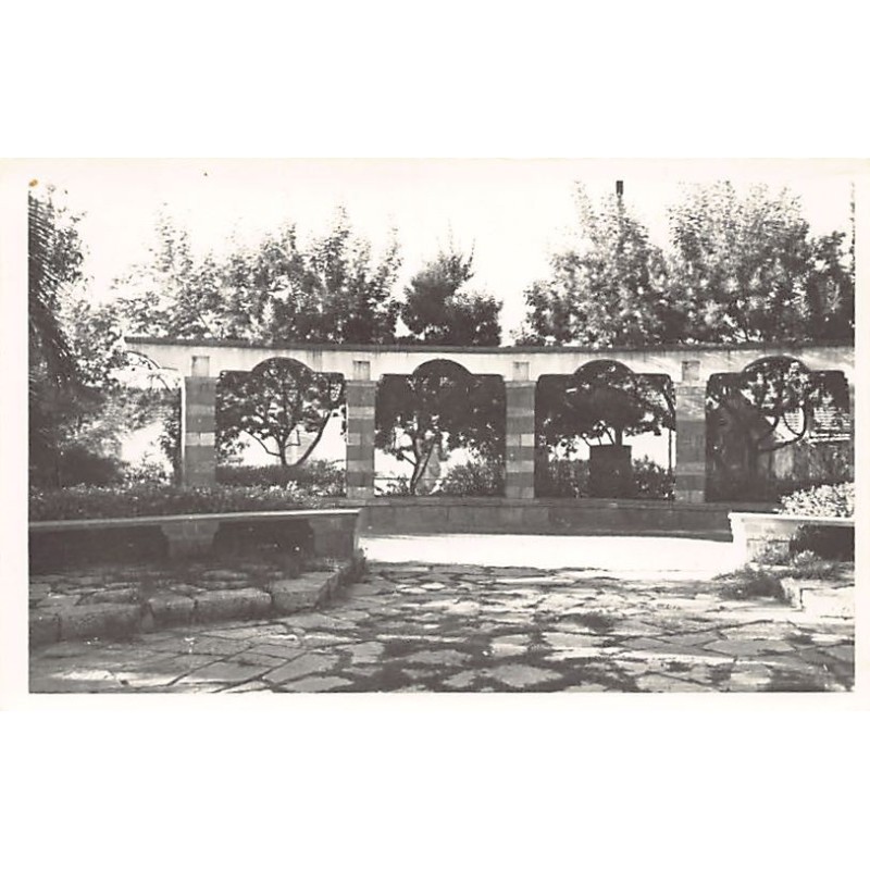 Rare collectable postcards of ALGERIA Algérie Belgique België. Vintage Postcards of ALGERIA Algérie Belgique België