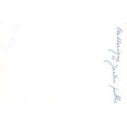 Rare collectable postcards of ALGERIA Algérie Belgique België. Vintage Postcards of ALGERIA Algérie Belgique België