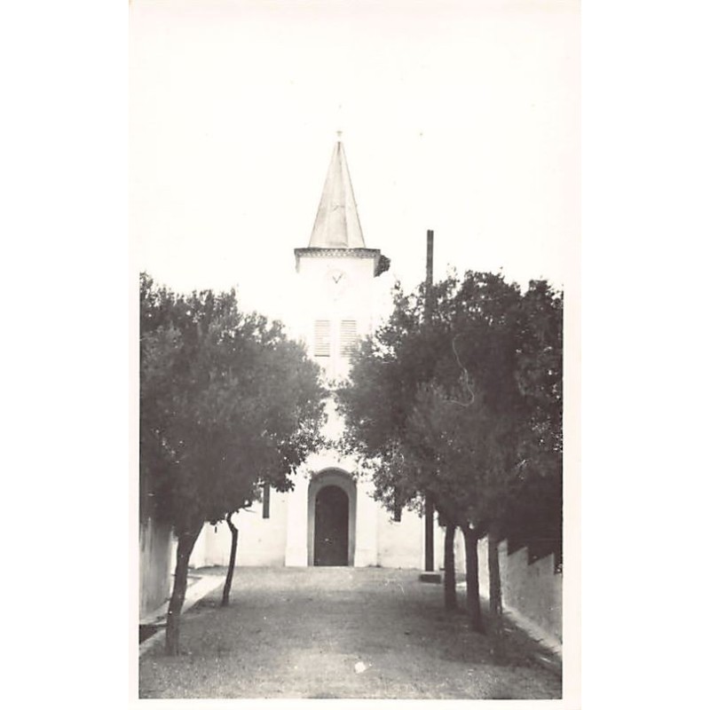 Rare collectable postcards of ALGERIA Algérie Belgique België. Vintage Postcards of ALGERIA Algérie Belgique België