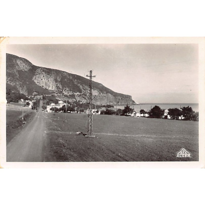 Rare collectable postcards of ALGERIA Algérie Belgique België. Vintage Postcards of ALGERIA Algérie Belgique België