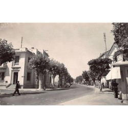 Rare collectable postcards of ALGERIA Algérie Belgique België. Vintage Postcards of ALGERIA Algérie Belgique België