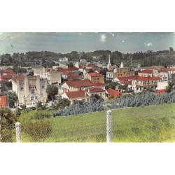 Rare collectable postcards of ALGERIA Algérie Belgique België. Vintage Postcards of ALGERIA Algérie Belgique België