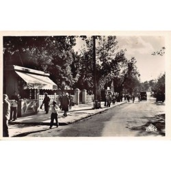 Rare collectable postcards of ALGERIA Algérie Belgique België. Vintage Postcards of ALGERIA Algérie Belgique België