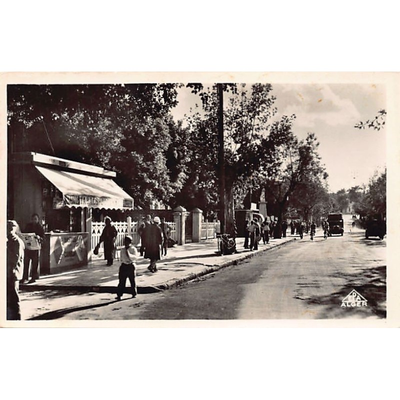 Rare collectable postcards of ALGERIA Algérie Belgique België. Vintage Postcards of ALGERIA Algérie Belgique België