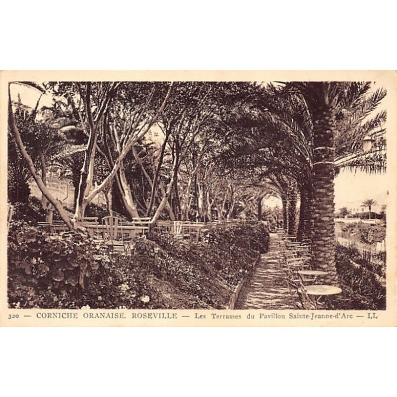 Rare collectable postcards of ALGERIA Algérie Belgique België. Vintage Postcards of ALGERIA Algérie Belgique België