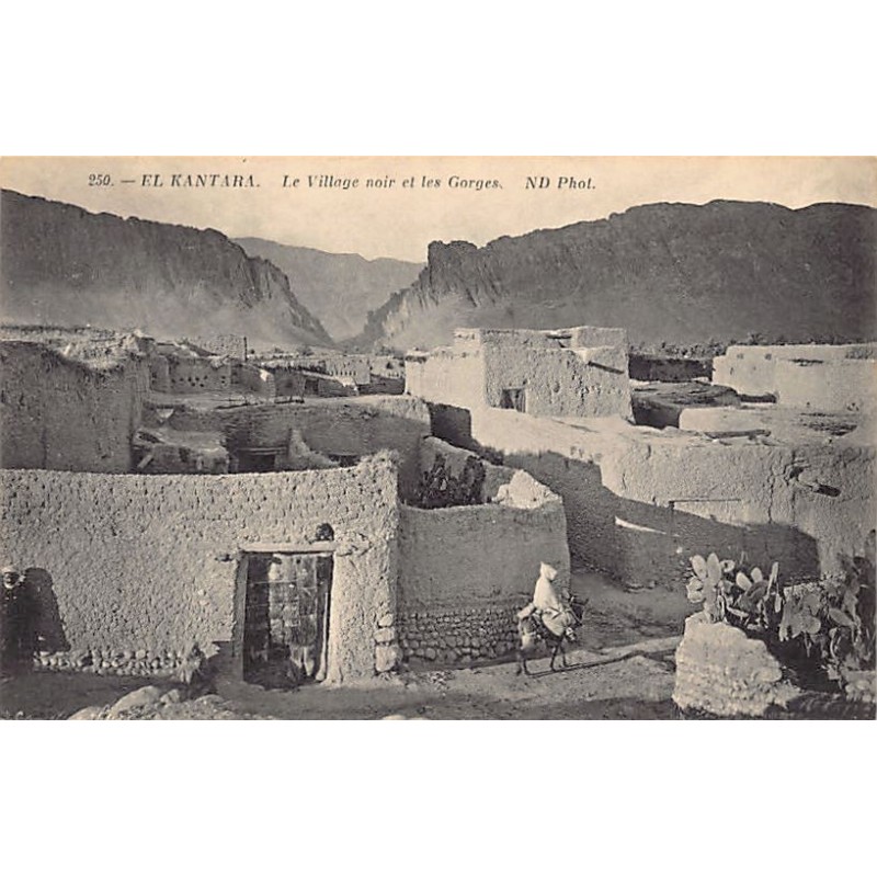 Rare collectable postcards of ALGERIA Algérie Belgique België. Vintage Postcards of ALGERIA Algérie Belgique België