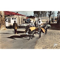 Rare collectable postcards of ALGERIA Algérie Belgique België. Vintage Postcards of ALGERIA Algérie Belgique België