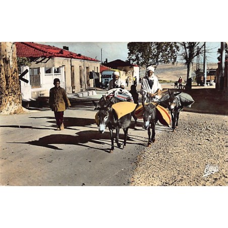 Rare collectable postcards of ALGERIA Algérie Belgique België. Vintage Postcards of ALGERIA Algérie Belgique België