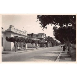 Rare collectable postcards of ALGERIA Algérie Belgique België. Vintage Postcards of ALGERIA Algérie Belgique België