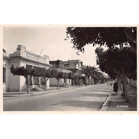 Rare collectable postcards of ALGERIA Algérie Belgique België. Vintage Postcards of ALGERIA Algérie Belgique België