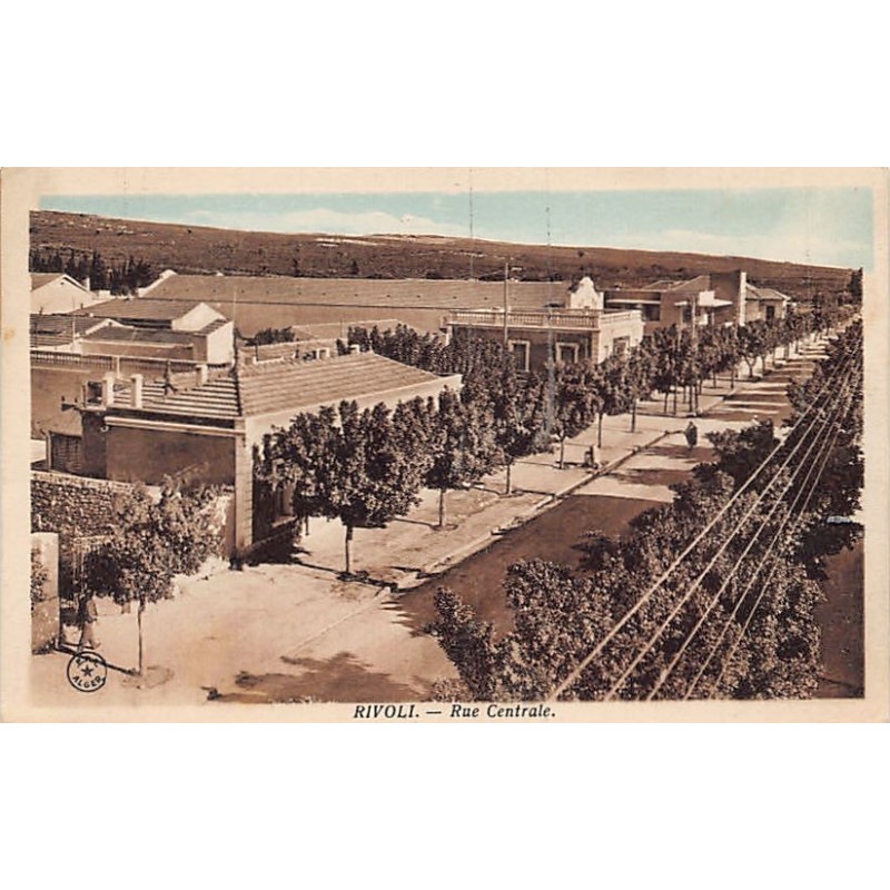 Rare collectable postcards of ALGERIA Algérie Belgique België. Vintage Postcards of ALGERIA Algérie Belgique België