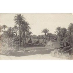 Rare collectable postcards of ALGERIA Algérie Belgique België. Vintage Postcards of ALGERIA Algérie Belgique België