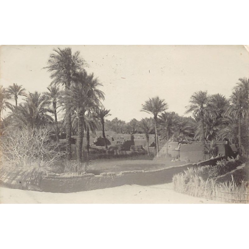 Rare collectable postcards of ALGERIA Algérie Belgique België. Vintage Postcards of ALGERIA Algérie Belgique België